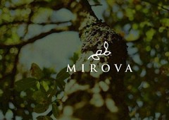 Venta de terreno en Privada Mirova en Dzitya
