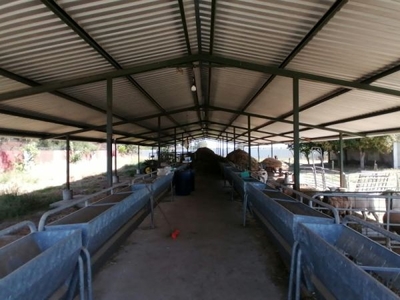 Granja con uso habitacional y terreno agrícola