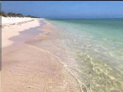 Terreno en venta Playa Sisal Yucatán, México 10x25