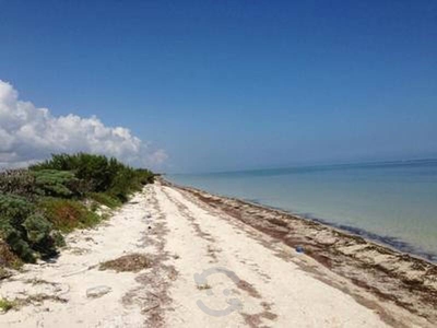 Terreno Frente de Playa en Santa Clara, Yucatán