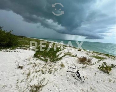 Venta de Terreno a Pie de Playa - Celestún