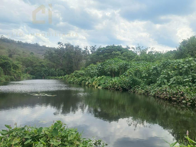 Rancho A Una Hora De Veracruz De 80 Hectareas Con Rio Y Nacimientos De Agua Muy Cerca De La Población Con Escuelas