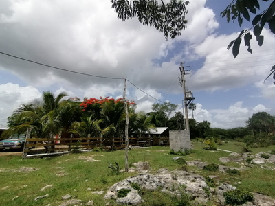 Rancho En Venta En Sucilá Yucatán