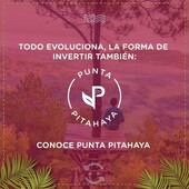 punta pitahaya