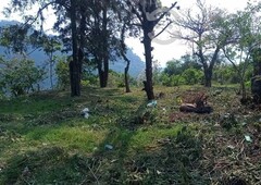 terreno en venta en orizaba