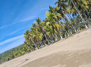 Terreno En Playa Limoncitos Nayarit