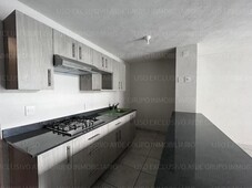 departamentos en renta - 59m2 - 1 recámara - la aurora - 8,500