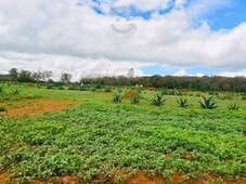 terreno en venta en aprovecha lotes de