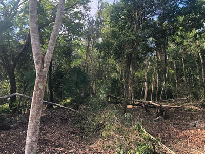 Terreno Cerca De Puerto Morelos, Quintana Roo.