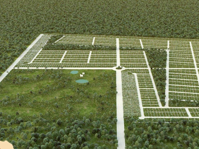 Terreno Habitacional Ecológico En Venta En Dzilam Gonzalez Yucatán