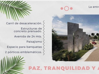 Terreno en venta en Dzemul Yucatán