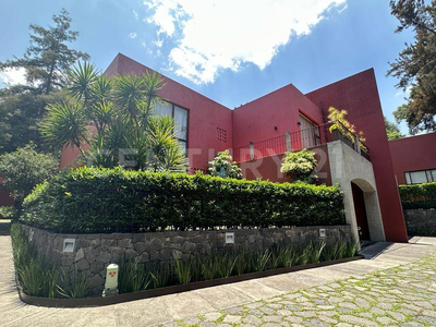 Barrio Santa Catarina - Coyoacan