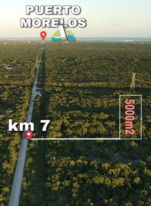 Terreno De 5000m2 Ruta De Los Cenotes En El Km 7, Quintana R