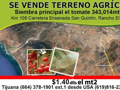 Terreno en Venta en San Quintín, Baja California