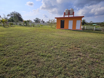 Terrenos Campiranos En Tampico Alto, Veracruz