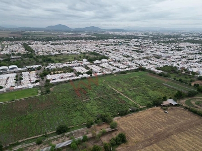 Lots And Land Culiacán