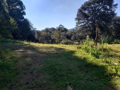 TERRENO RUSTICO EN PALO HUECO