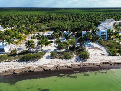 Terreno Frente Al Mar De San Crisanto Yucatán