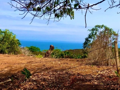 2 Hectareas en Monteon con Vista al Mar