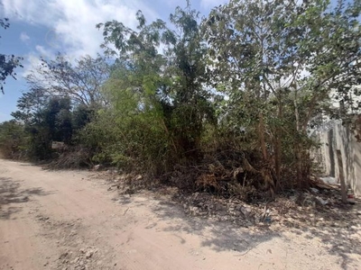 Lote para desarrollar en Tulum, Region 15 P3973