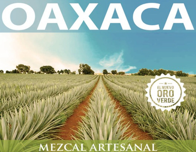 Excelente Inversion De Rancho Para Producción De Maguey En Oaxaca