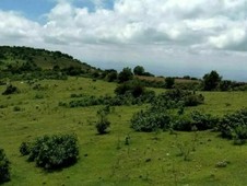 TERRENO EN VENTA SANTA ROSA DE JAUREGUI, QUERETARO 300HA. TODO EN REGLA