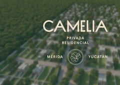 terrenos en venta en privada residencial camelia