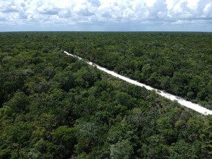 Terreno en Venta en Tulum, Quintana Roo