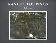 54000 m rancho en venta