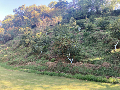 Terreno Colidante Con Rio En Pipioltepec, Valle De Bravo.