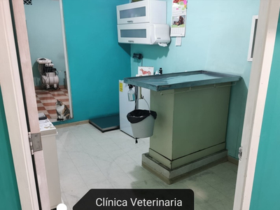 Clínica Veterinaria Equipada (consultorio Y Estética Canina)