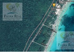 hasta 200 mts. en venta en tulum