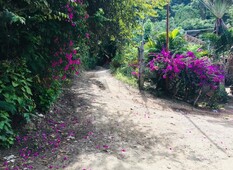 terreno en venta en el ranchito colexio, puerto vallarta, jalisco