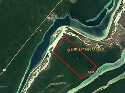 TERRENO LAGUNA BACALAR SUP 977 HECTAREAS