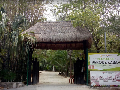 Renta De Departamento Amueblado Enfrente Parque Kabah