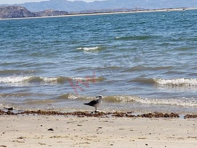 Terreno En Venta San Felipe, Baja California, A 3 Minutos De La Playa!!!...
