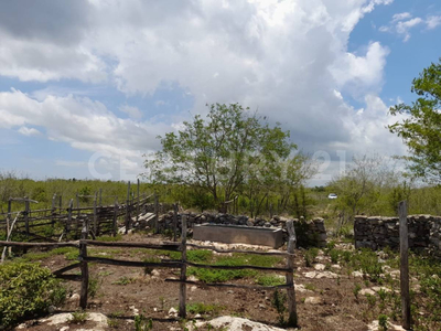 Venta De Terreno A Pie De Carretera En Dzilam Gonzalez