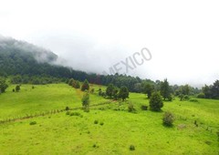 Terreno en el Pinal para desarrollo!! Bellisima propiedad en el centro del bosque.