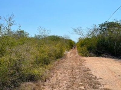 Excelente terreno en venta en Chichi Suarez Merida Yucatan