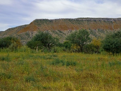 Parcela 45ha en venta en Ejido Alfredo V. Bonfil