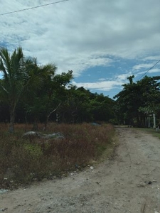 Terreno en la Aguada Alvarado, Veracruz