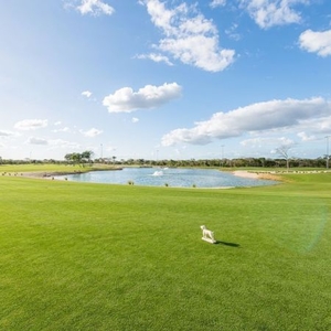Terreno en venta en Club de Golf Provincia, Mérida Yucatán