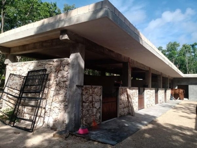 Terreno en Venta en Playa del Carmen