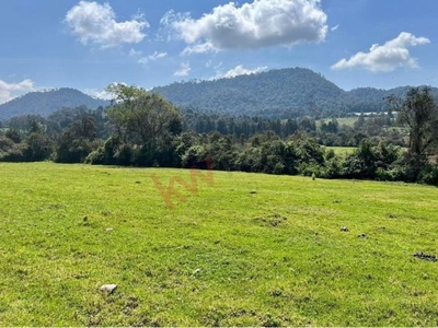 TERRENO EN VENTA EN VALLE DE BRAVO CERCANO A RANCHO AVANDARO CON VISTA AL BOSQUE