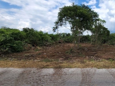 Terreno en Venta sobre carretera Mérida - Sierra Papacal