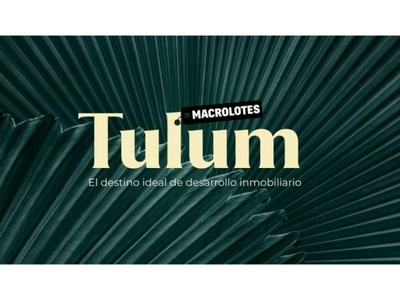 Terrenos Macrolote en venta en Tulum, Quintana Roo - Zona Holistika -