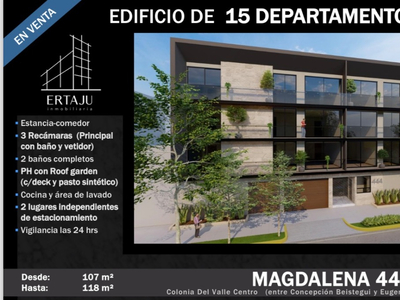 Departamento Ph Con Roof Garden En Magdalena 444