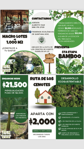 Venta De Terrenos 1,000 M2 En La Ruta De Los Cenotes, Puerto Morelos, Quintana Roo.