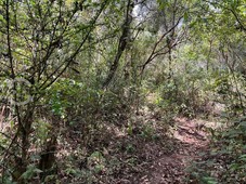 terreno boscoso a 10 km de san cristobal de
