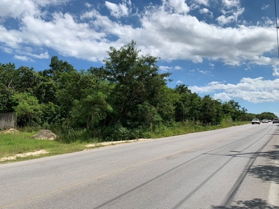 Terreno Venta Cancun Alamos Il Prol. La Luna Y Ceiba